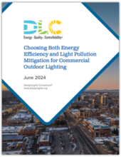 Choosing Both Energy Efficiency and Light Pollution Mitigation for Commercial Outdoor Lighting