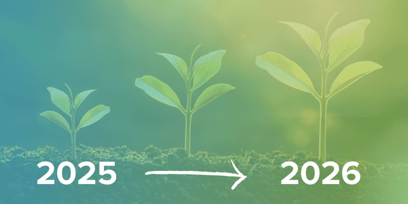 DLC growth from year to year