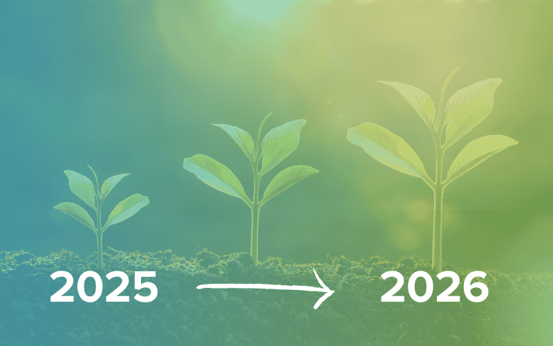 DLC growth from year to year